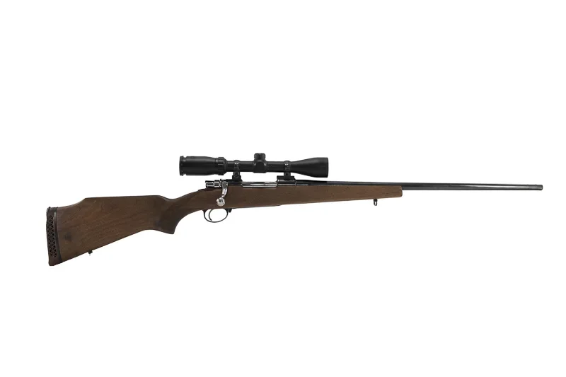 FIREARMS ALPINE Sporter con ottica [USATO] – reticolo