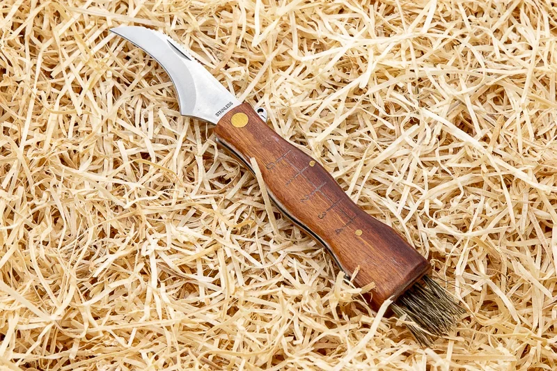 Fulpa coltello da funghi