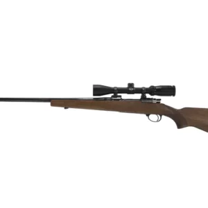 FIREARMS ALPINE Sporter con ottica [USATO] – vista laterale