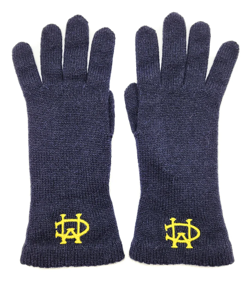 Women Gloves Web