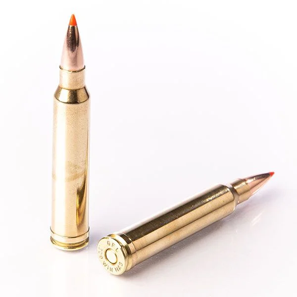 FIOCCHI 300 WIN MAG EPN 180