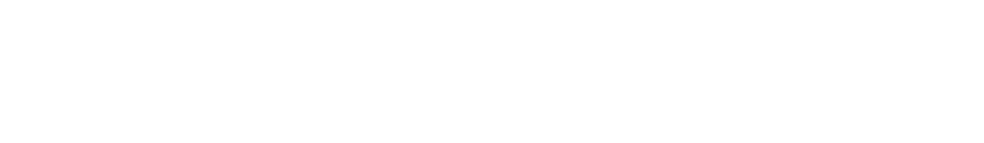 Anschütz Optics